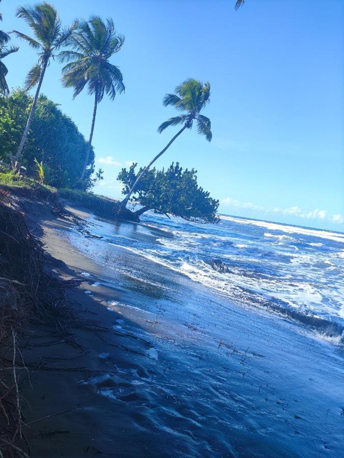 Cabanas Daneysha Tortuguero Exterior photo