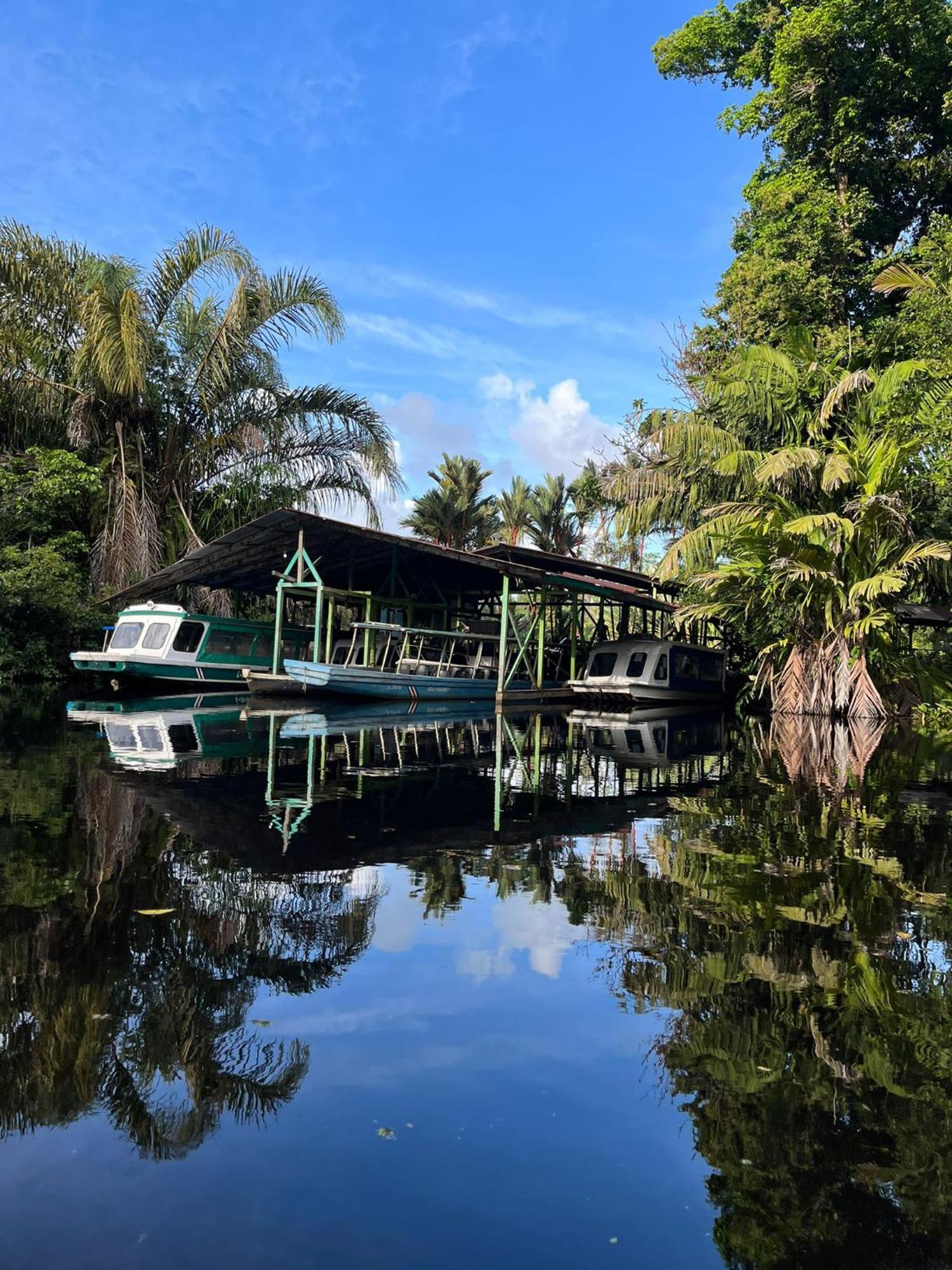 Cabanas Daneysha Tortuguero Room photo